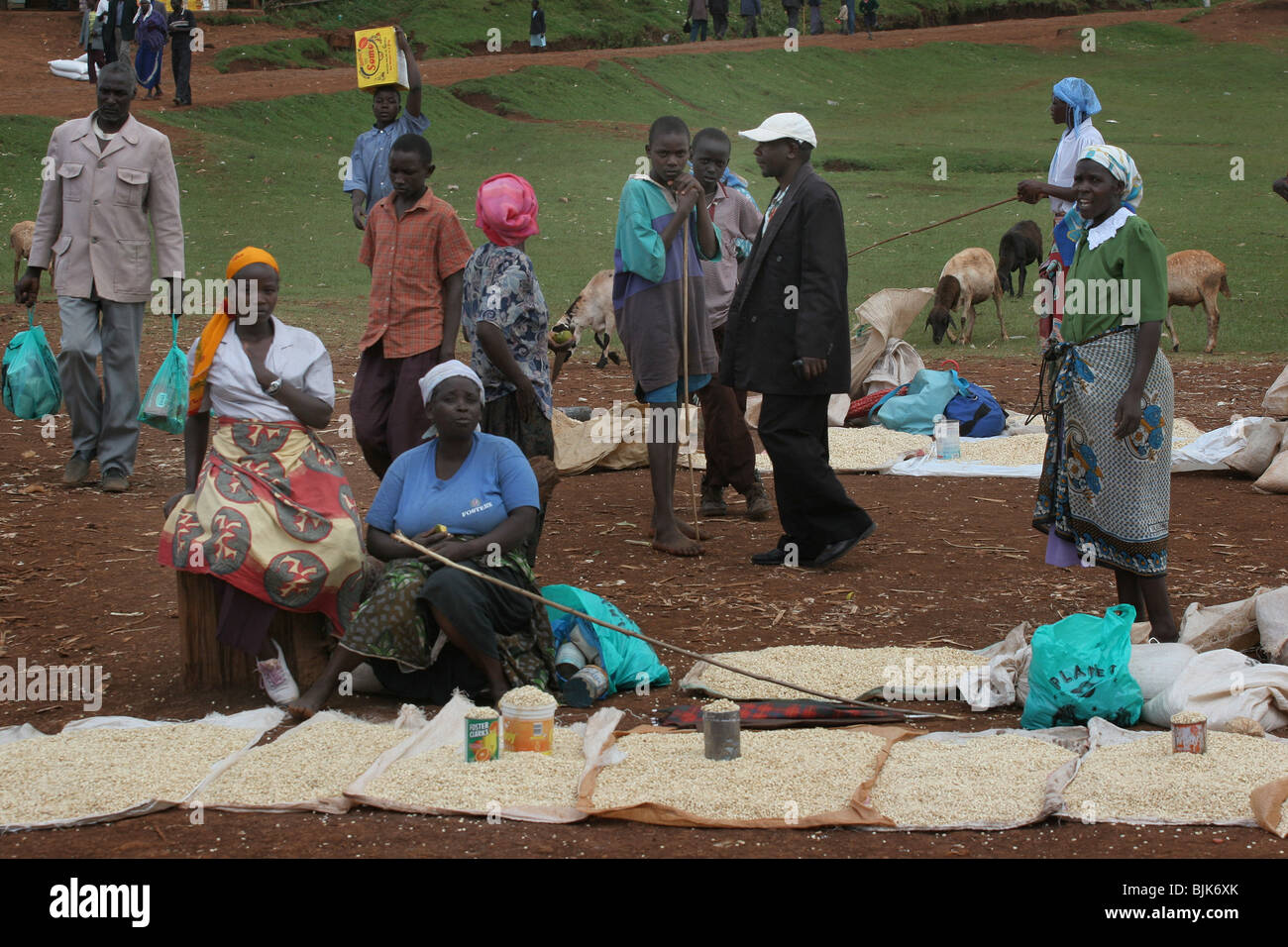 Village food market Kenya Stock Photo Alamy