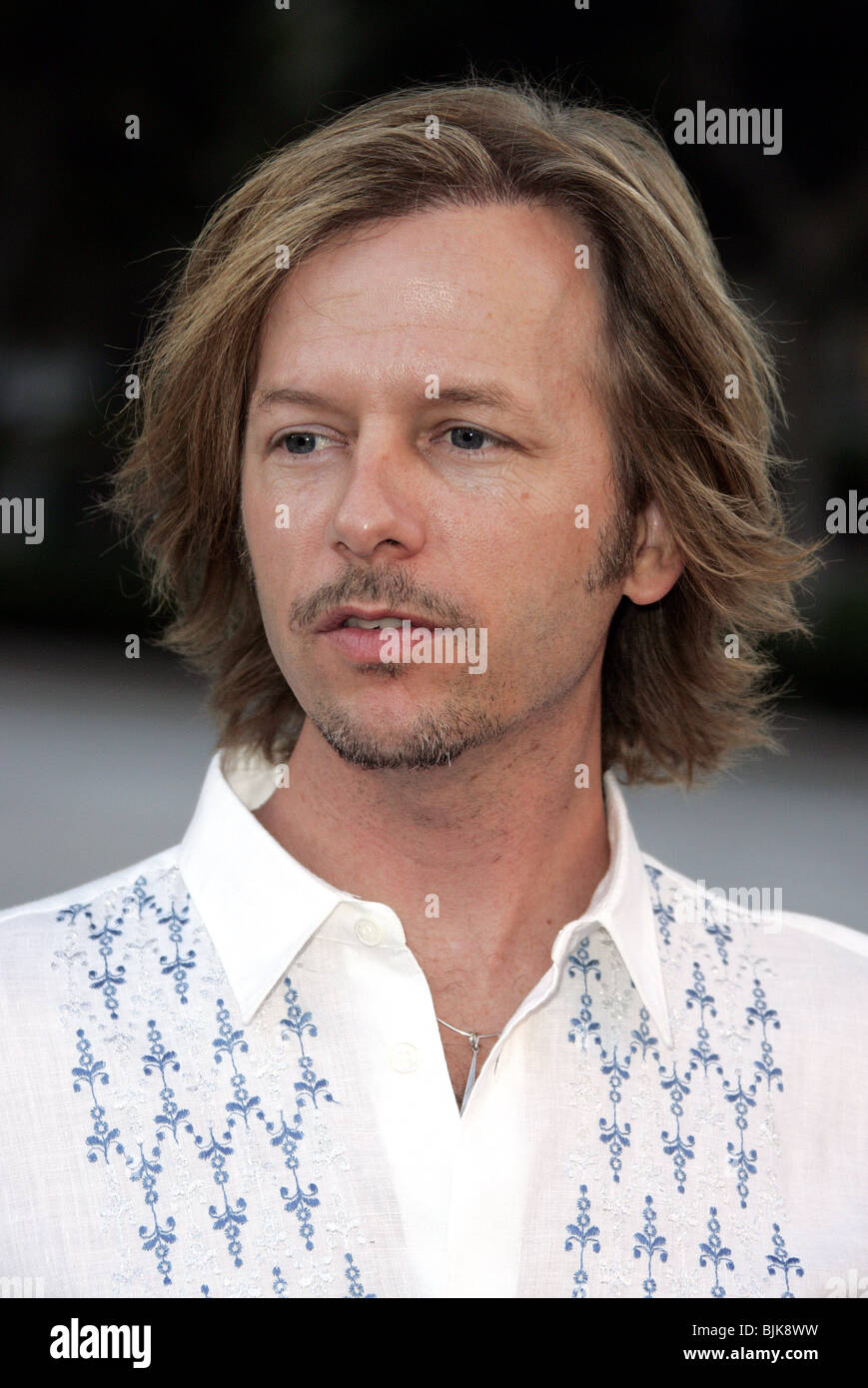 DAVID SPADE ABC TV SUMMER PRESS TOUR CENTURY CITY LOS ANGELES USA 13