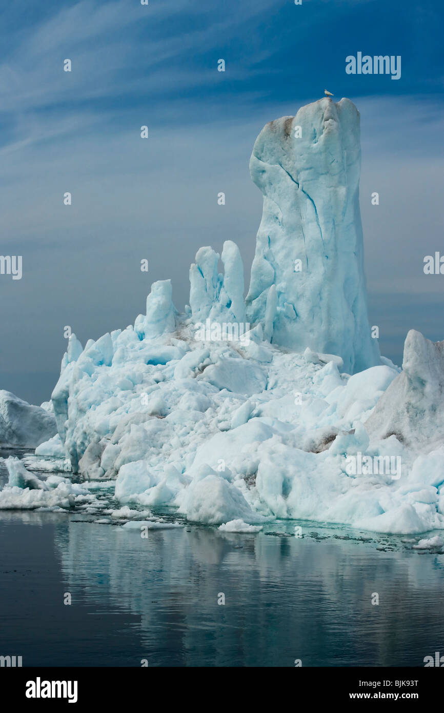 Iceberg with gull, Ilulissat, Disco Bay, West Greenland, Greenland Stock Photo