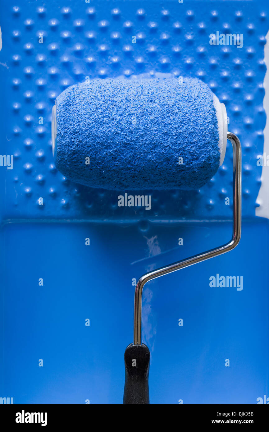 Paint roller in tray with paint Stock Photo Alamy