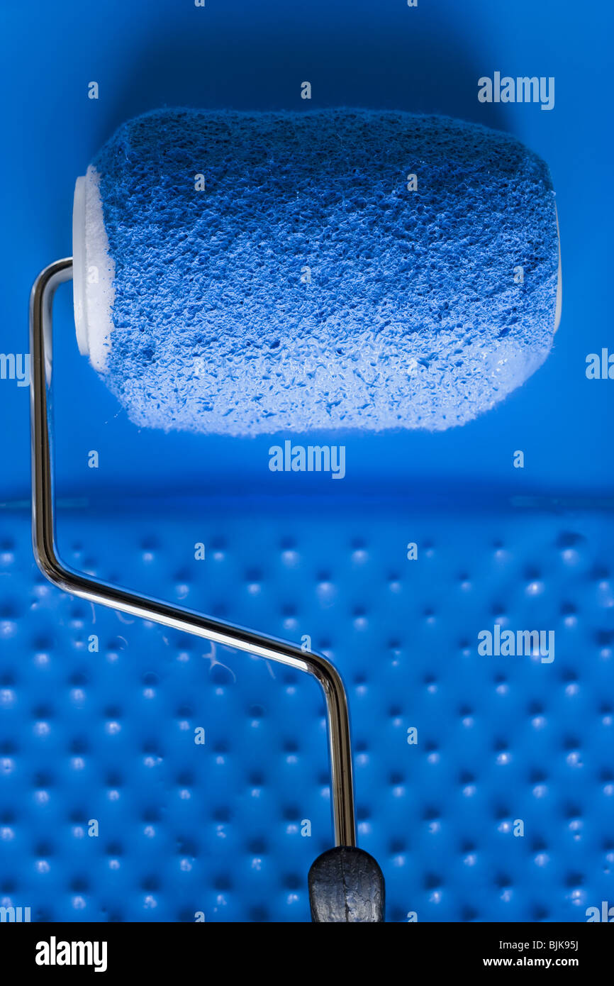 Paint roller in tray with paint Stock Photo Alamy