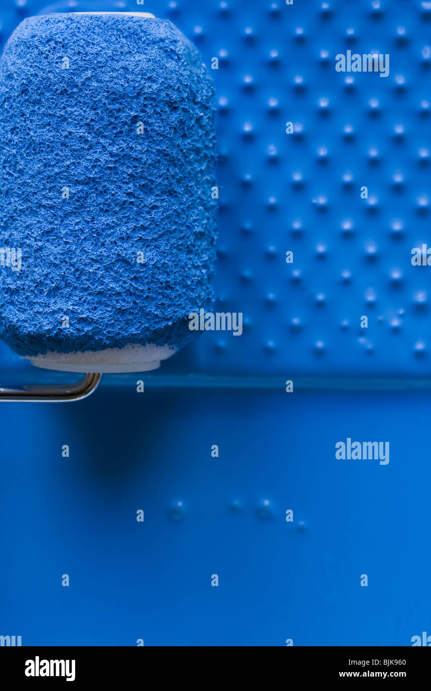 Paint roller in tray with paint Stock Photo Alamy