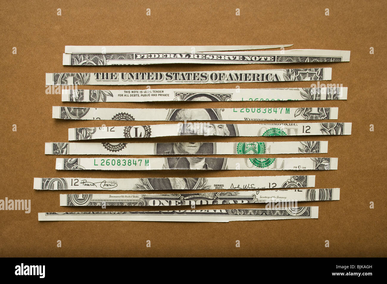 Detailed view of shredded US dollar bill Stock Photo