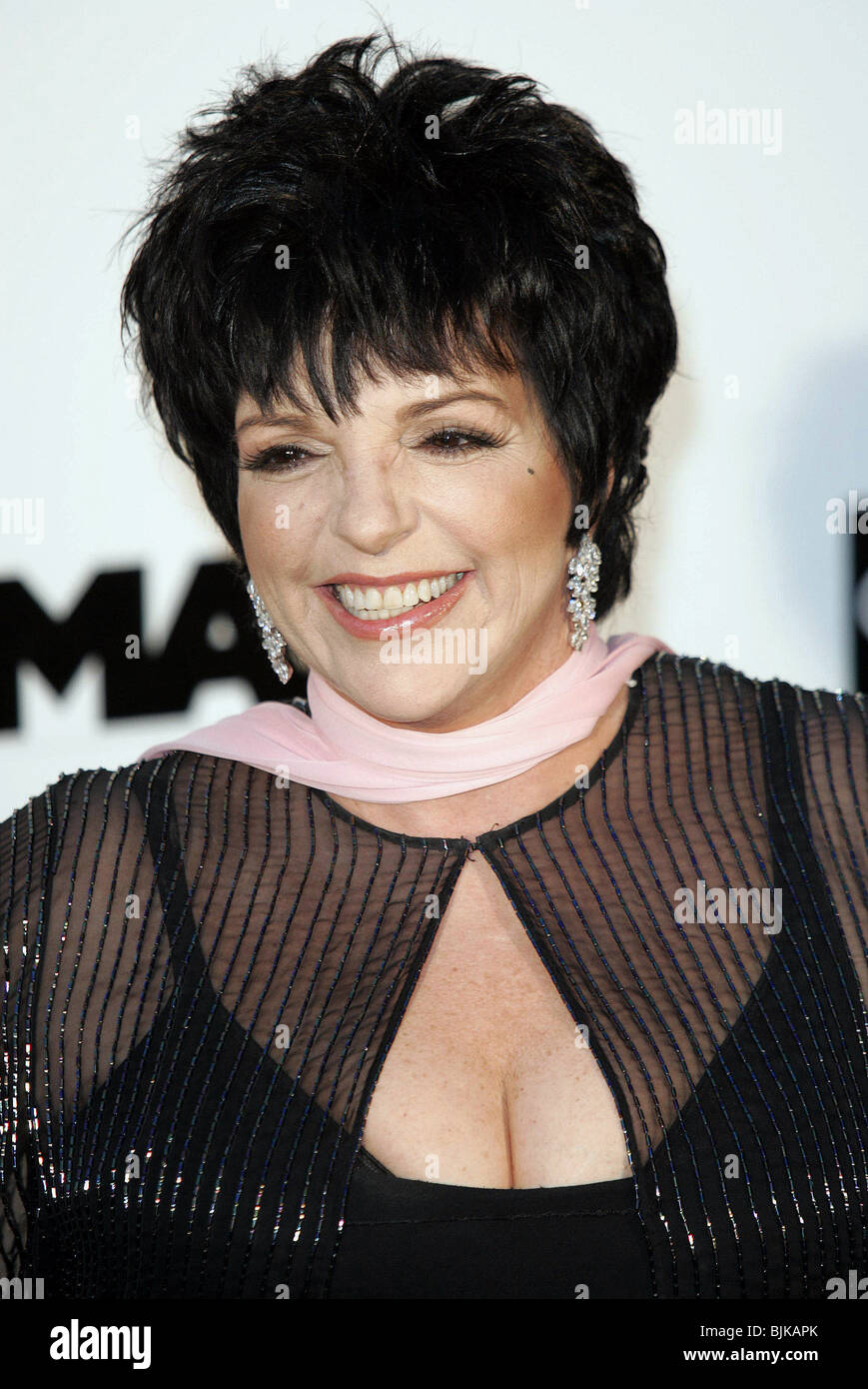 LIZA MINNELLI CANNES FILM FESTIVAL 2004 CANNES FRANCE 20 May 2004 Stock ...