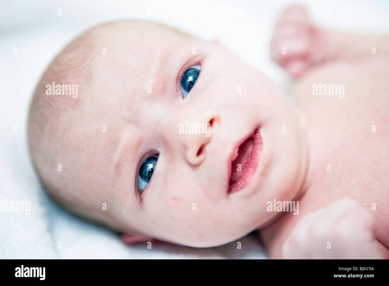 Cute babies light best sale skin