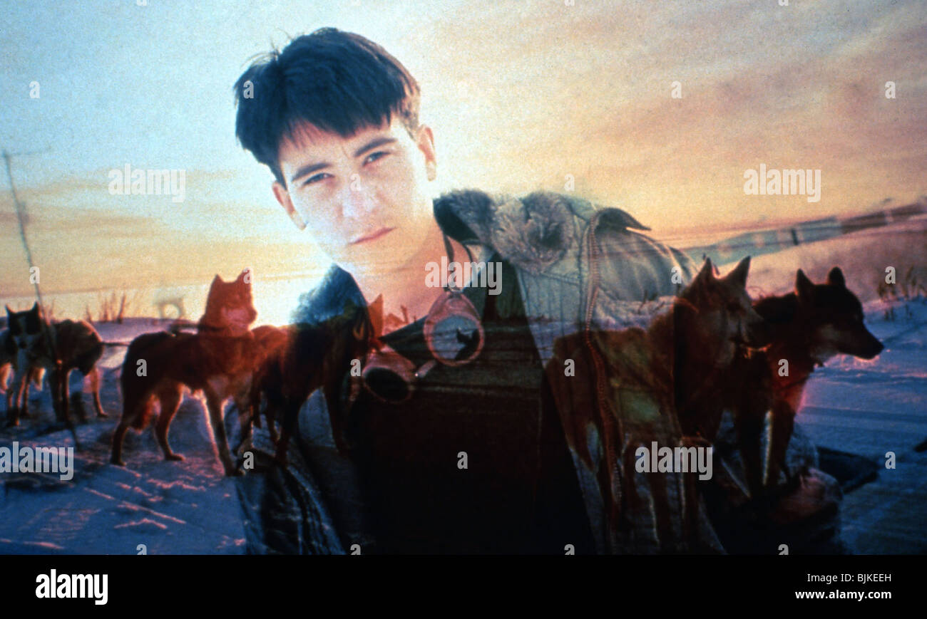 K d lang hires stock photography and images Alamy