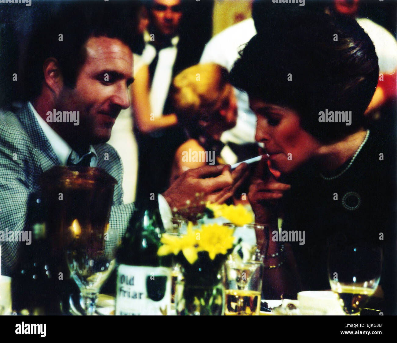 HIDE IN PLAIN SIGHT (1980) JAMES CAAN JAMES CAAN (DIR) 005 Stock Photo