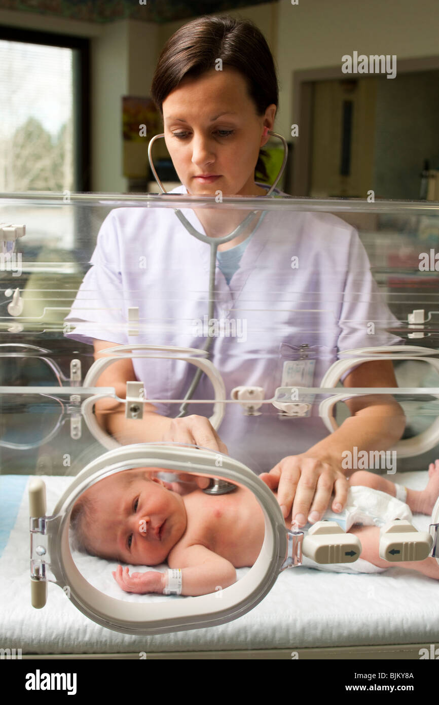 Nurse examining newborn in incubator Stock Photo Alamy