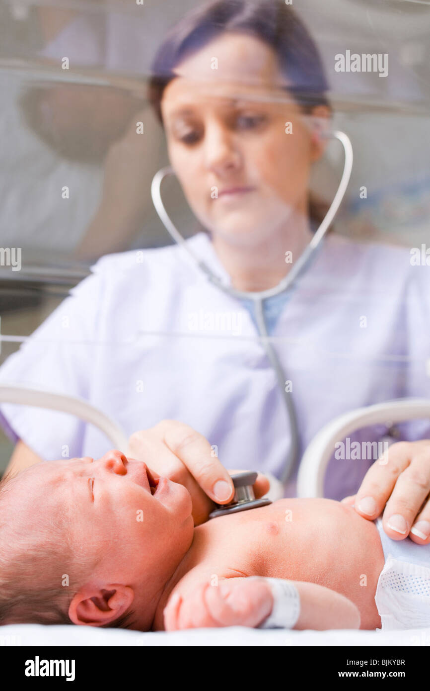 Nurse examining newborn in incubator Stock Photo Alamy