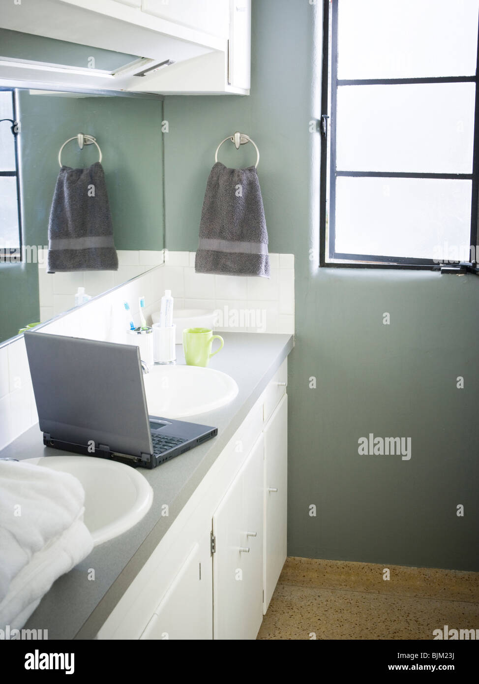Female in bathroom with laptop and toothbrush Stock Photo Alamy