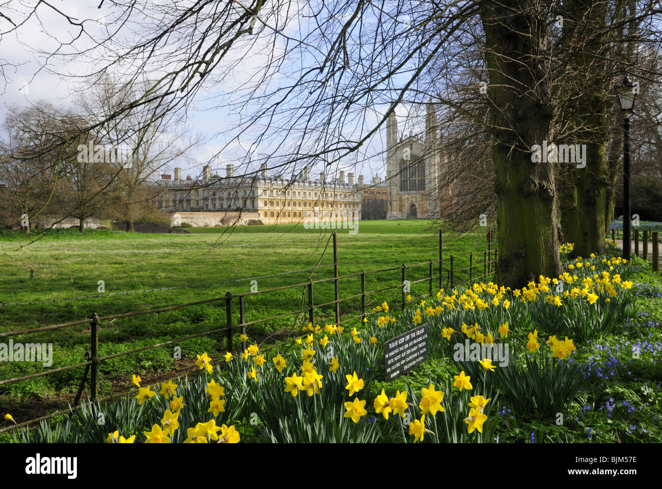Kings College Chapel in Spring, Cambridge, England UK Stock Photo