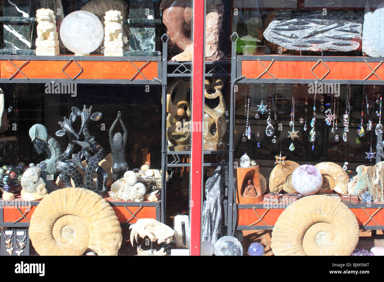 fossil shop window weymouth dorset Stock Photo Alamy