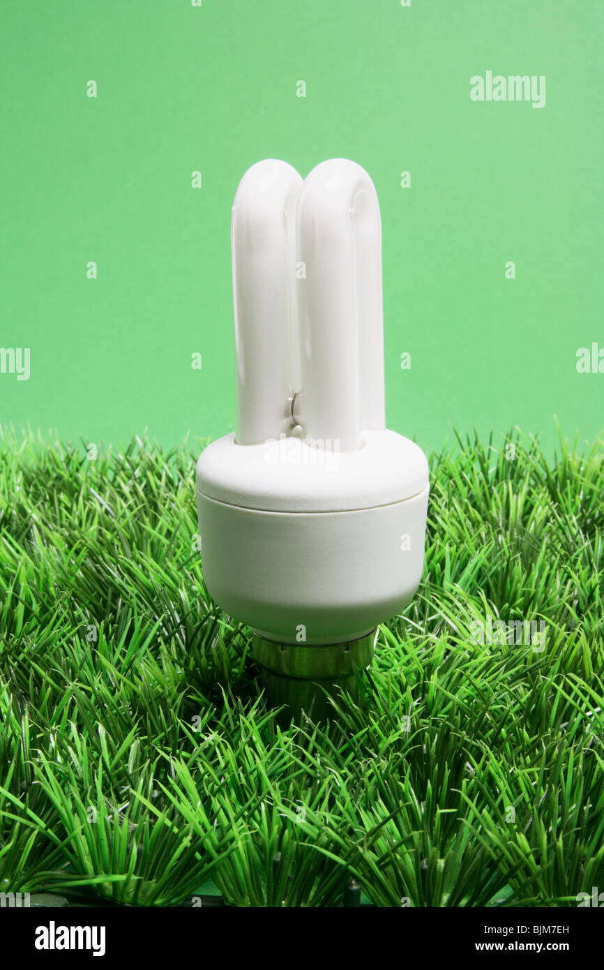 Compact Fluorescent Lightbulb Stock Photo Alamy
