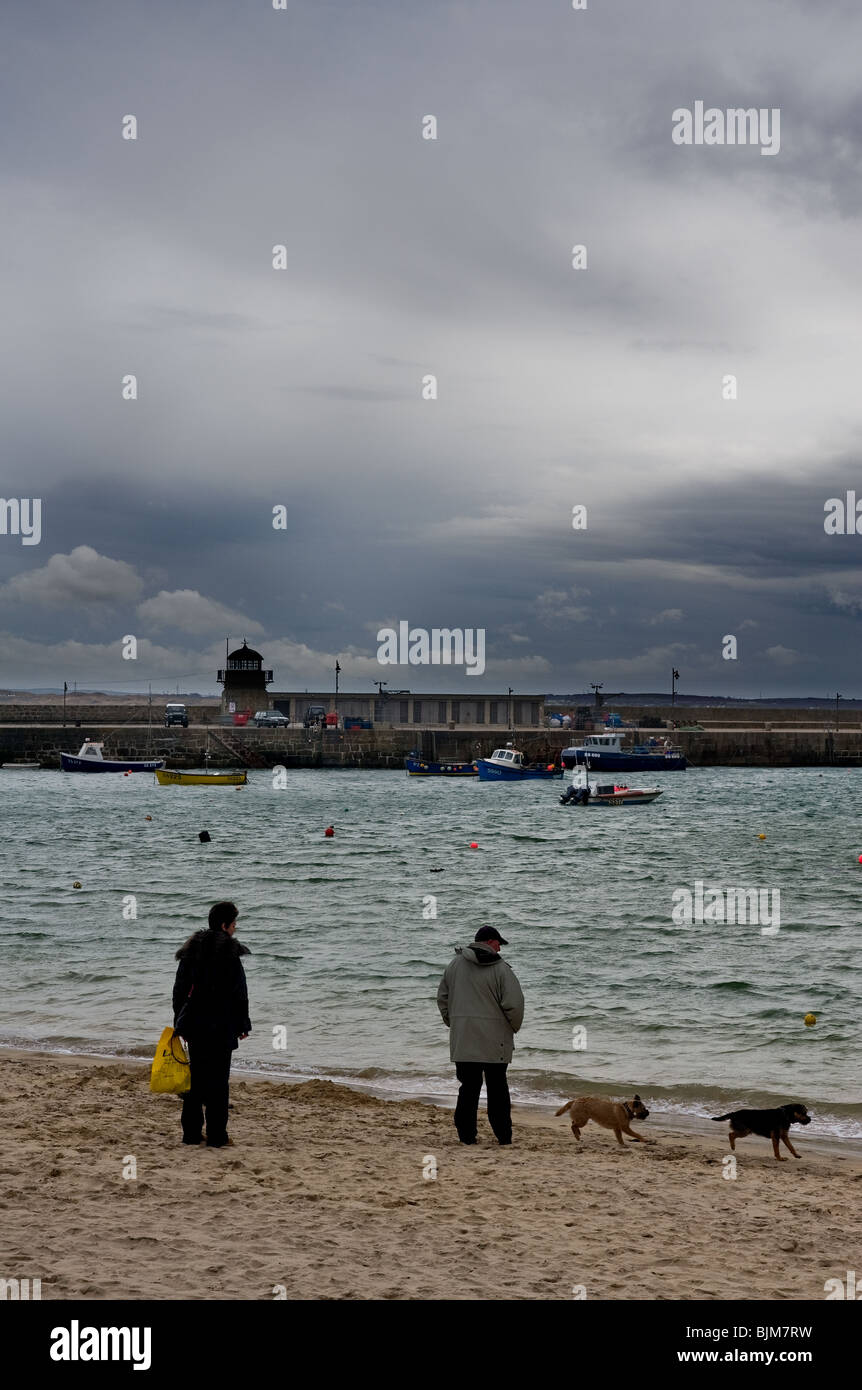 People walking their dogs on the harbour beach in St Ives in Cornwall