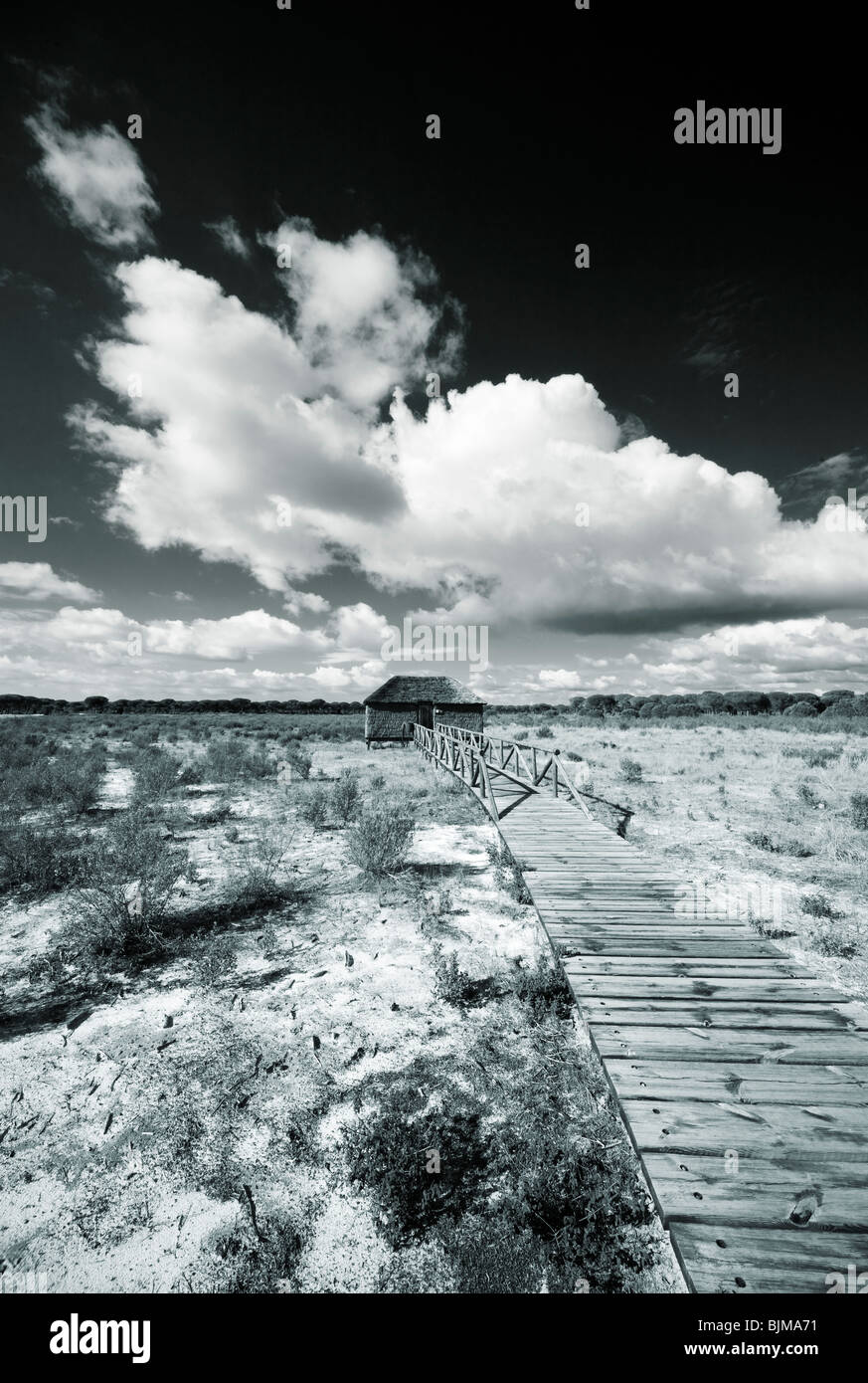 Cottage at the end of the way, duotone shuts in Doñana National Park, Huelva, Spain Stock Photo