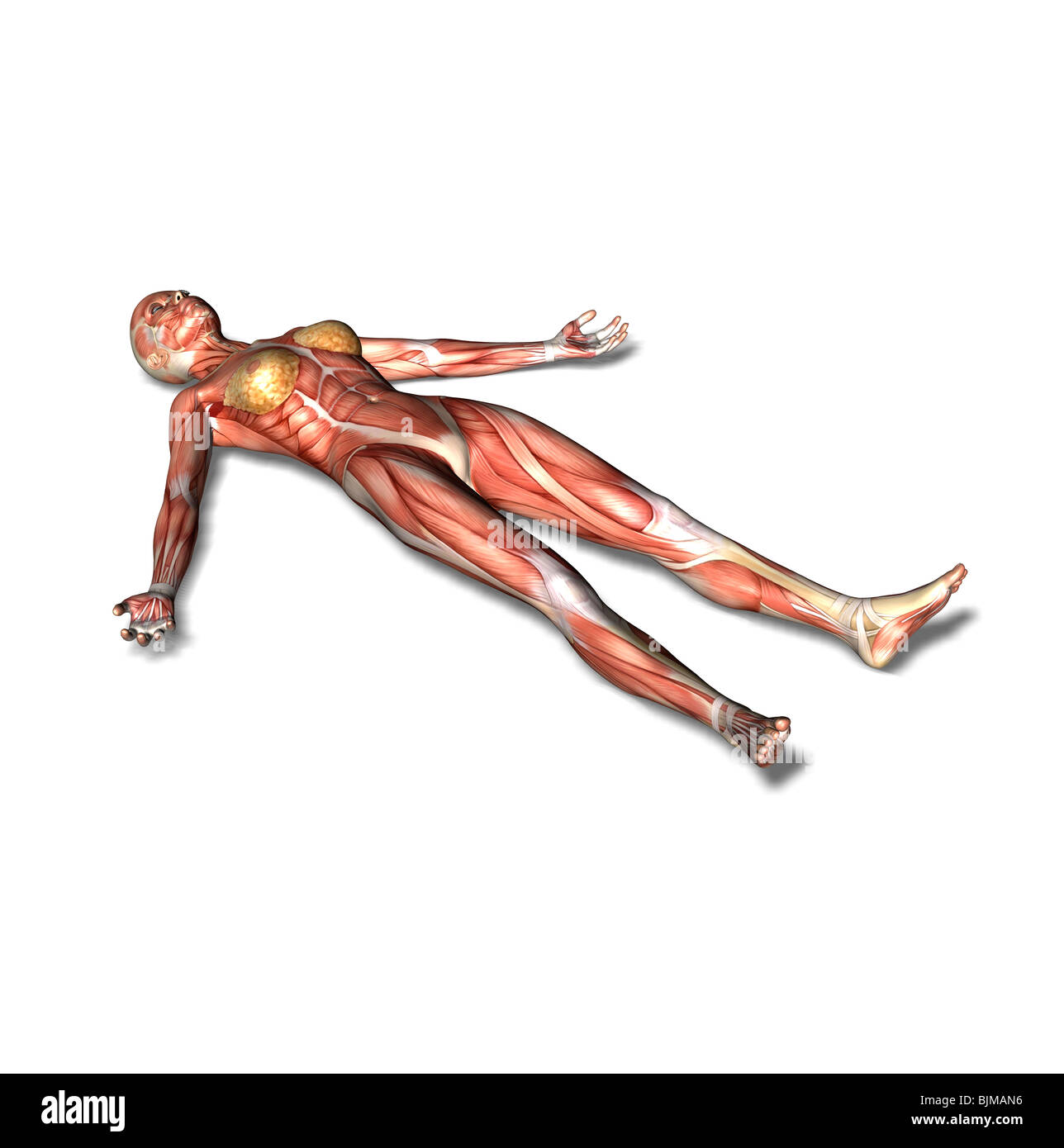 corpse bride headpiece