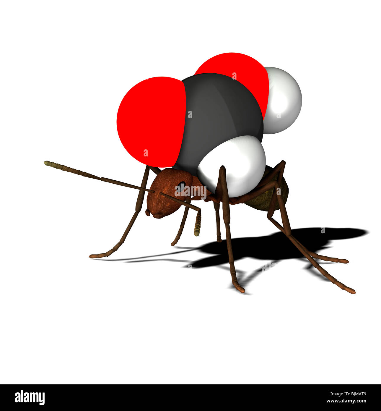 formic acid molecule with ant Stock Photo