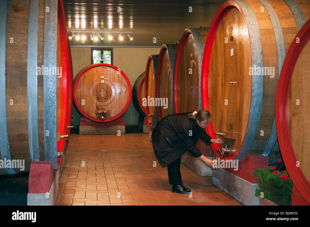 Person in a wine cellar hi-res stock photography and images - Alamy