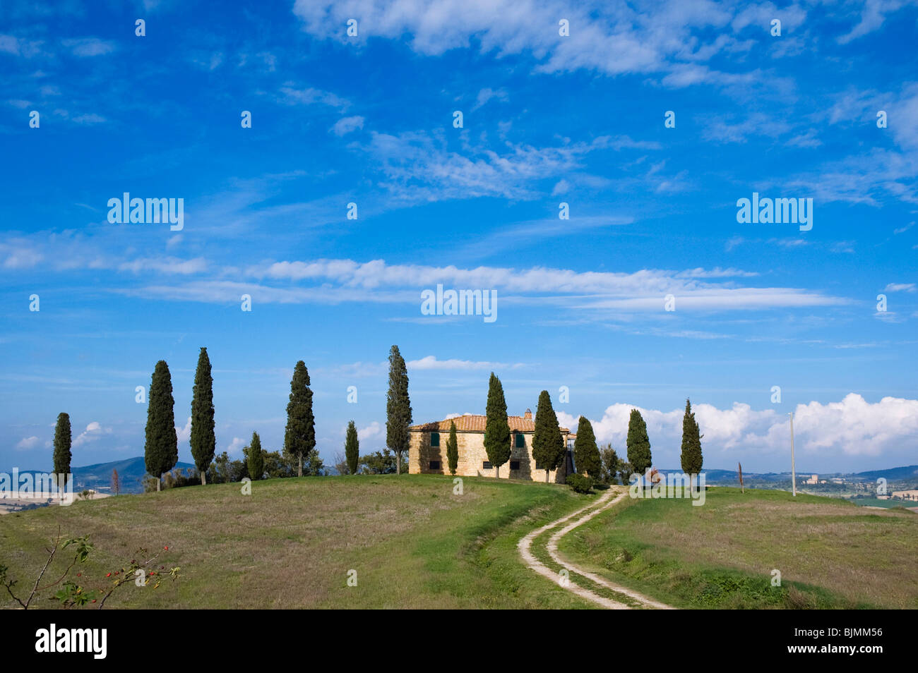 Country house, cypress-lined road, San Quirico d'Orcia, Tuscany, Italy, Europe Stock Photo