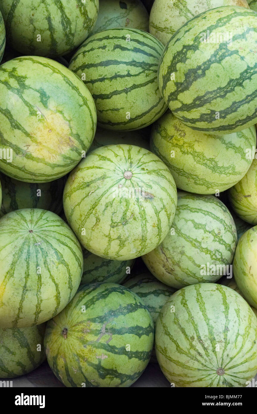 Watermelons, Tuscany, Italy, Europe Stock Photo Alamy
