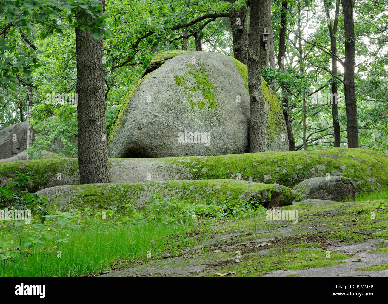 Granit rock, Blockheide nature park in Gmuend, Lower Austria, Austria,  Europe Stock Photo - Alamy