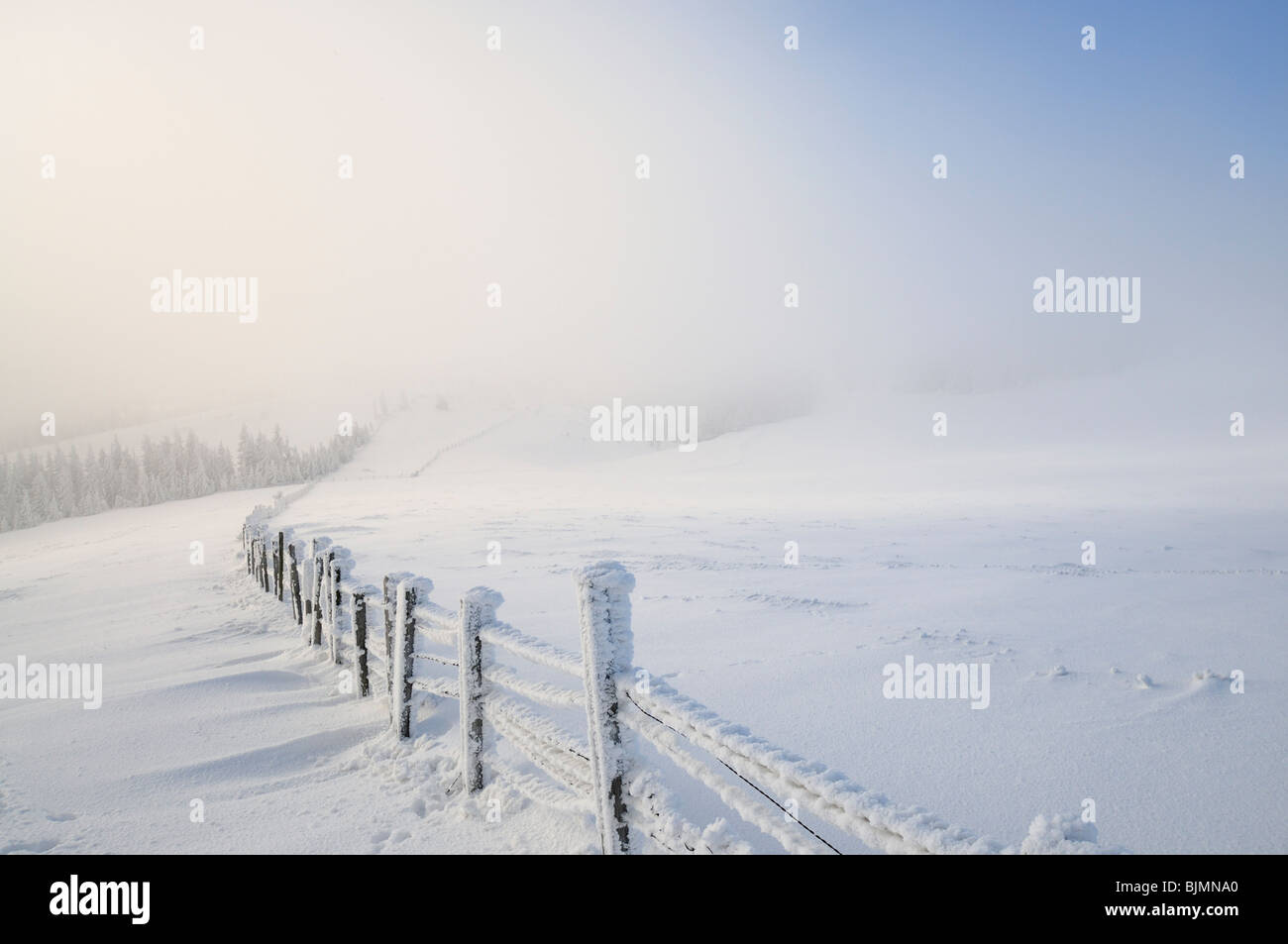 Snowy fence, Mt. Unterberg, Lower Austria, Austria, Europe Stock Photo