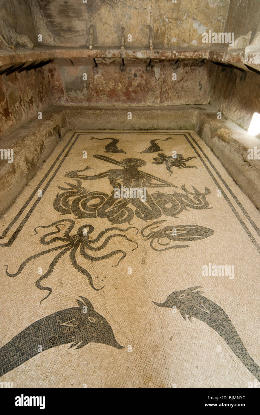 Ercolano, archaeological district, excavations of the Roman town of Herkulaneum, Ladies Thermal bath, mosaic floor Stock Photo