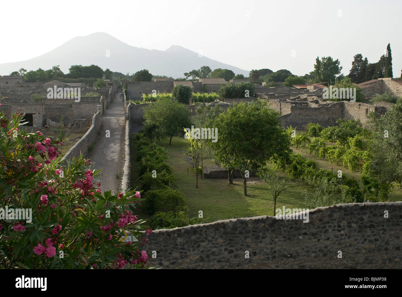 Italy, Campania, Pompeii, archaeological district, excavations of the Roman town of Pompeii, Vesuv in the background Stock Photo
