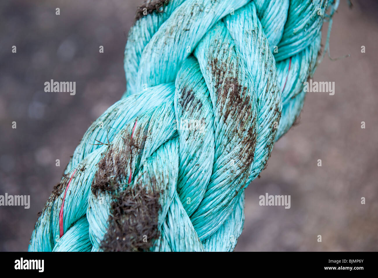 Ships Nylon mooring rope blue Stock Photo