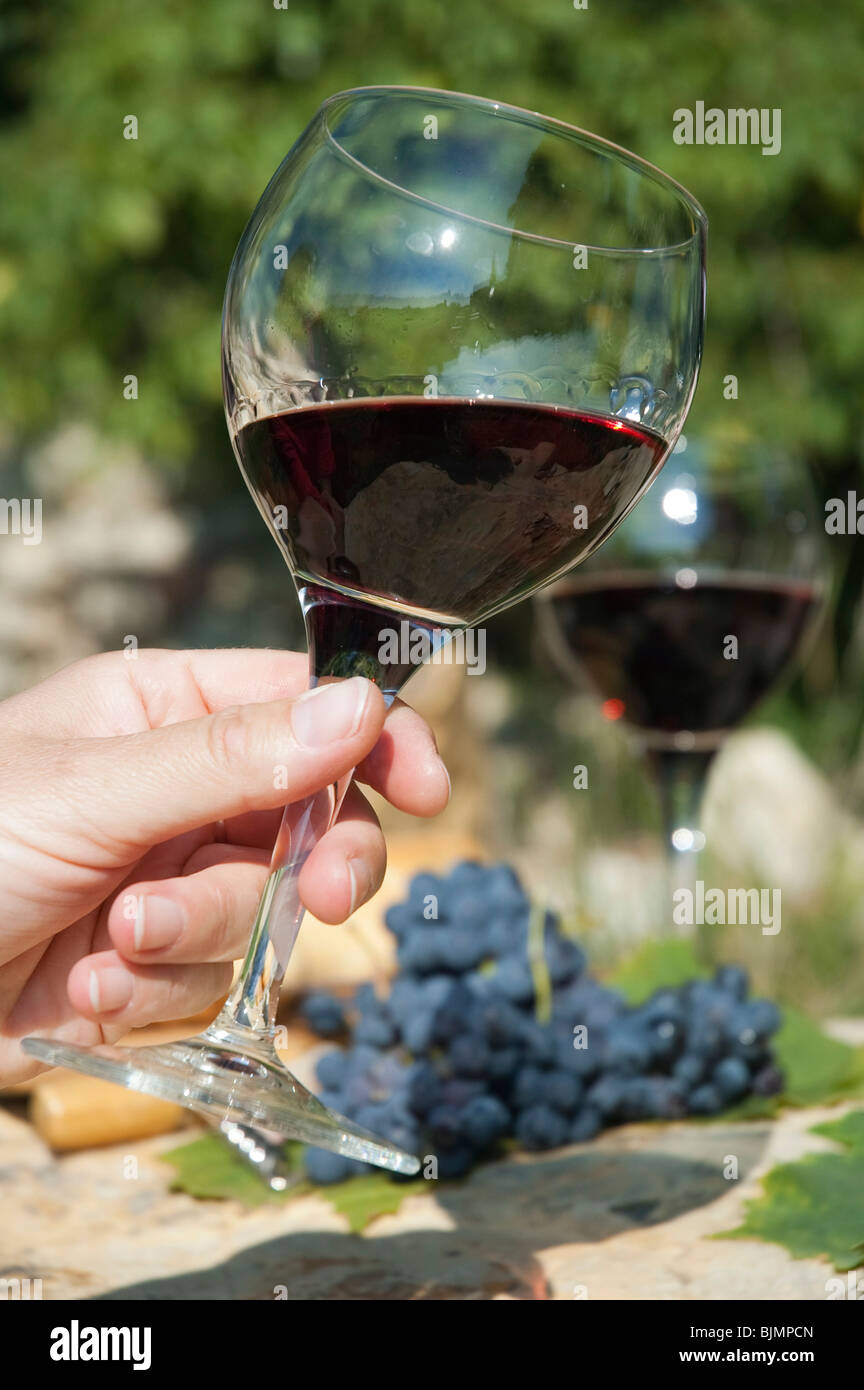 Hand Holding A Glass Of Wine A Picnic With Chianti Wine Near Siena Tuscany Italy Europe Stock Photo Alamy
