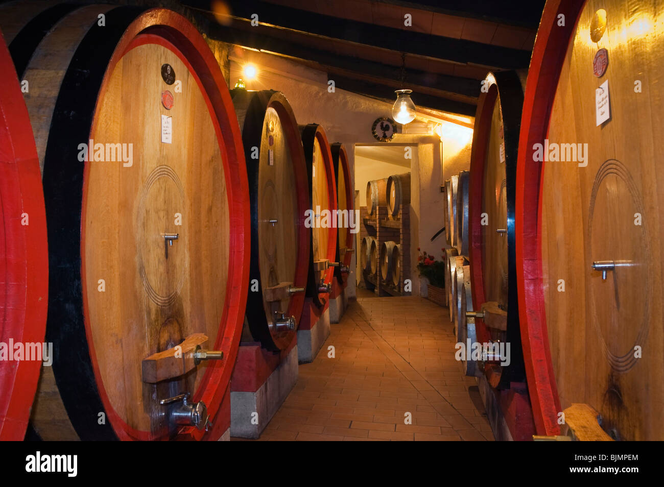 barbi hi res stock photography and images Page 2 Alamy