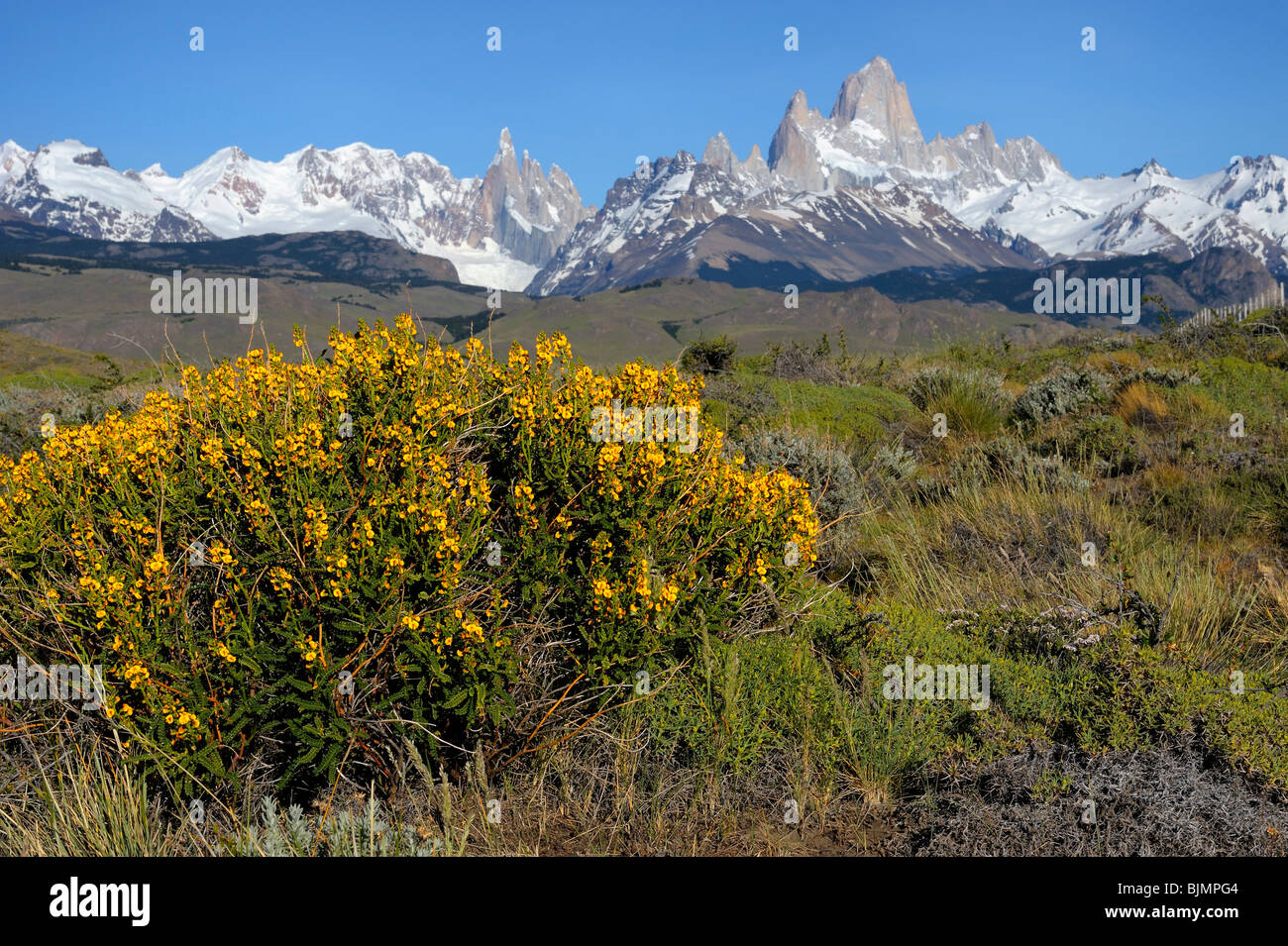 Mt. Cerro Torre and Mt. Fitz Roy, El Chalten, Andes, Patagonia, Argentina, South America Stock Photo