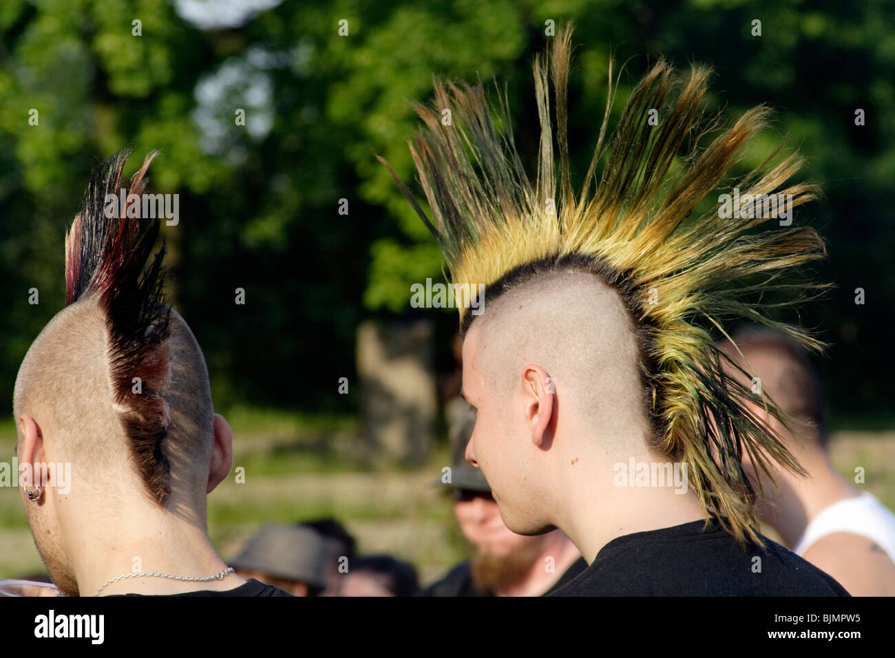 Punks at a rock concert, Berlin, Germany Stock Photo