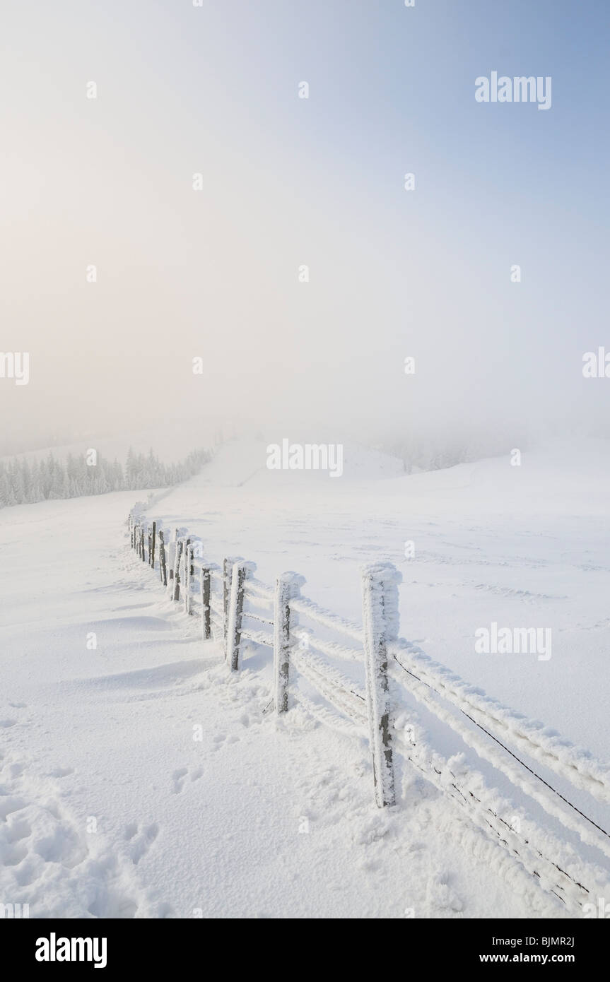 Snowy fence, Mt. Unterberg, Lower Austria, Austria, Europe Stock Photo