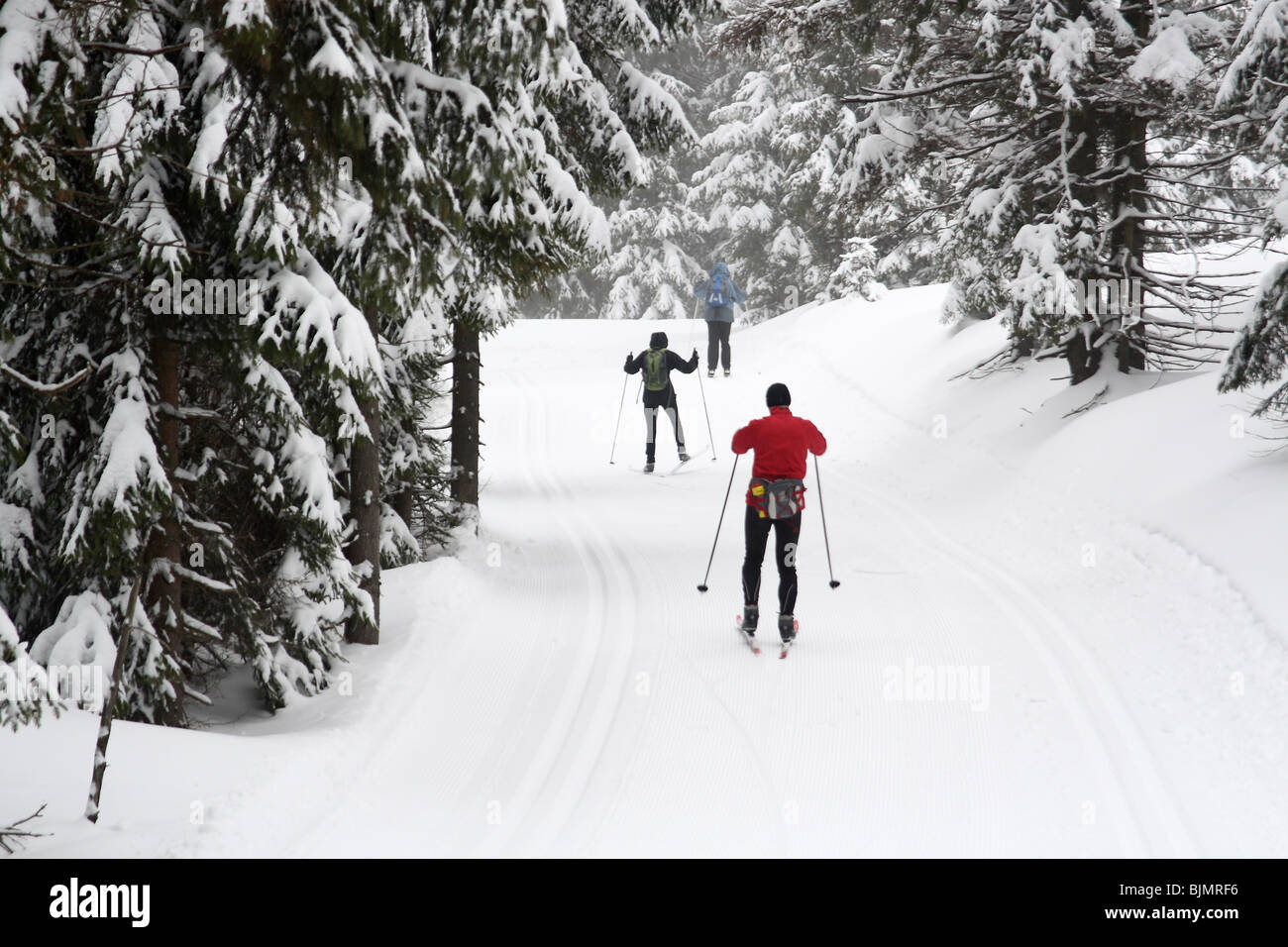 Cross country ski trail in Jakuszyce, Sudety Mountains, Poland. Stock Photo