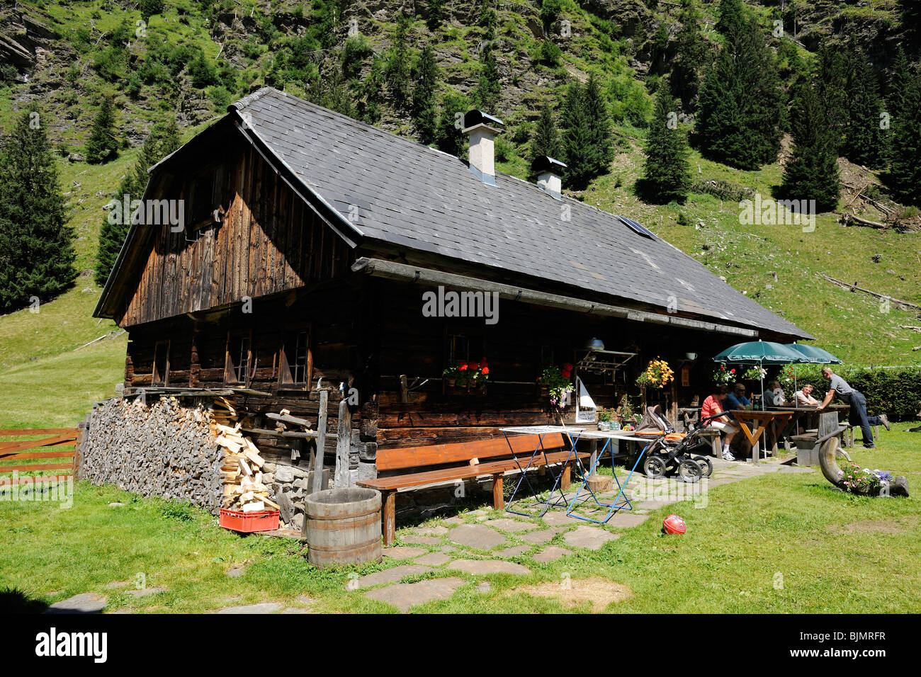 Laerchkaralm mountain lodge, Donnersbachwald, Styria, Austria, Europe Stock Photo