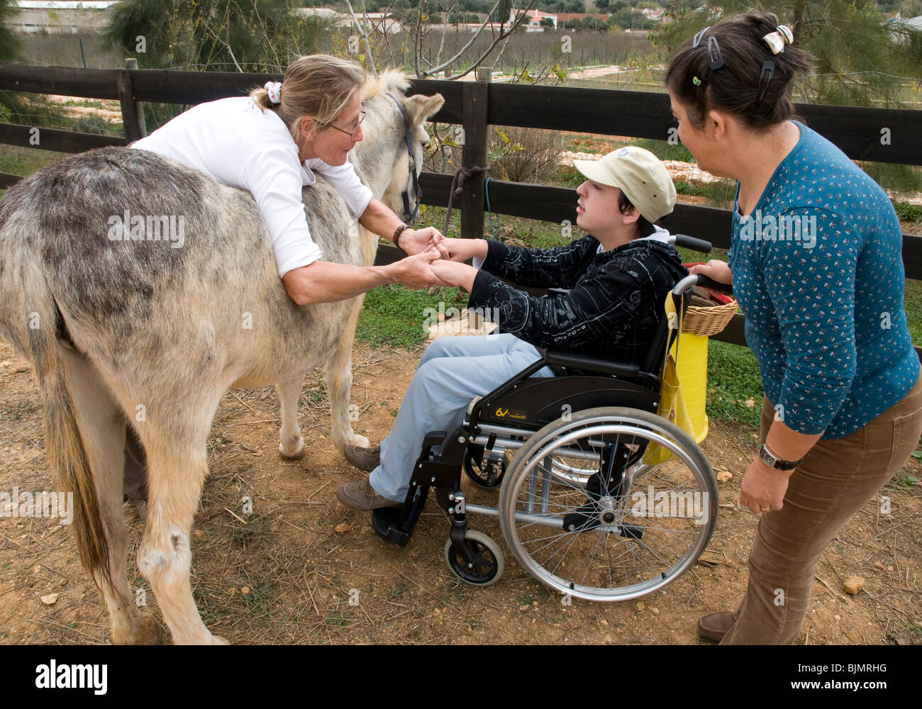 A disabled teenaged boy in a wheelchair receiving asinotherapy - donkey therapy - at a stable staffed by qualified therapists. Stock Photo