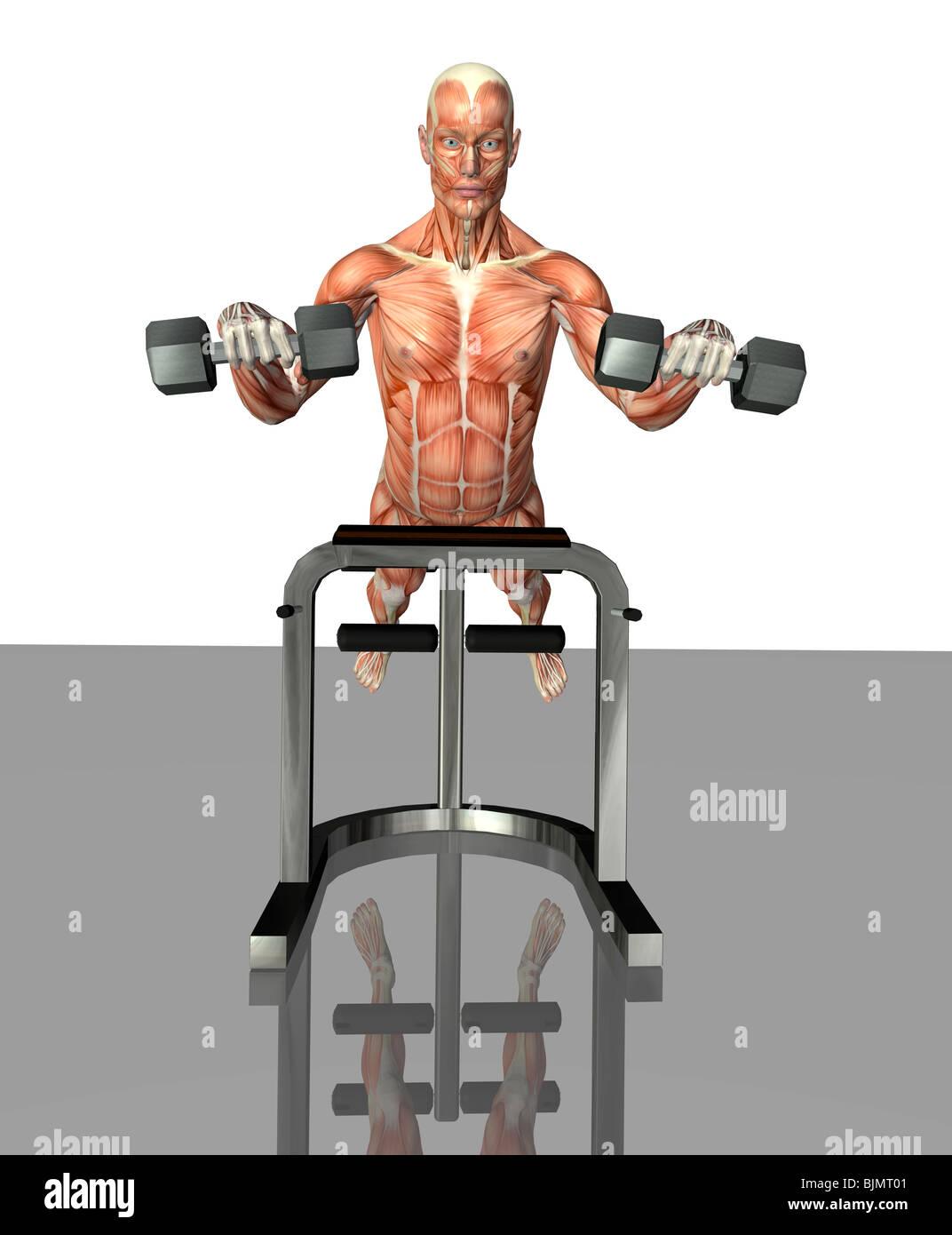 muscle man at training Stock Photo
