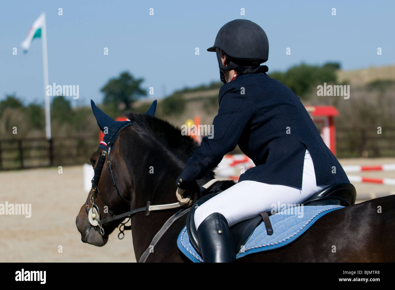Horse rider looking at the show jumping course Stock Photo