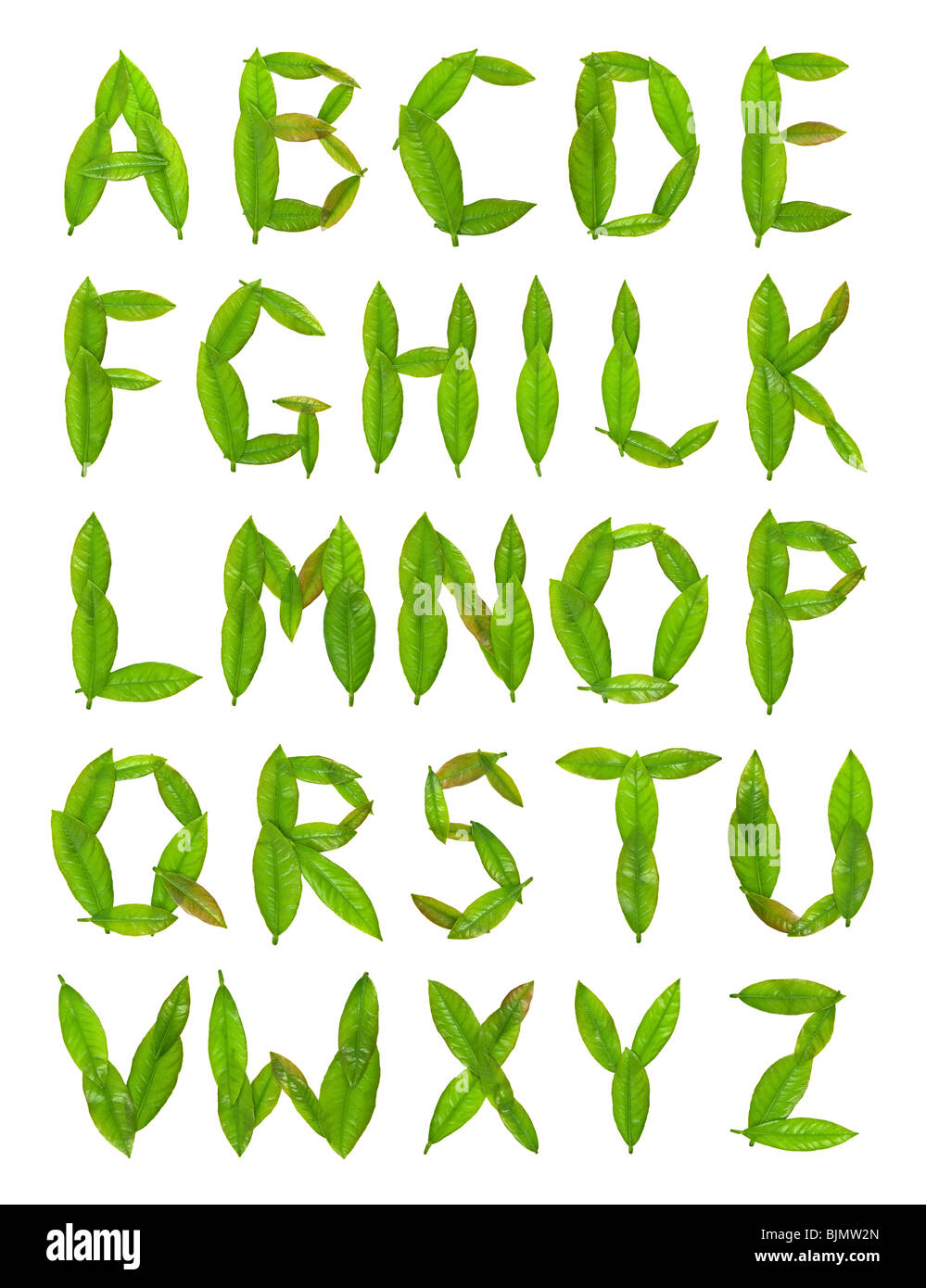 You can find your Cut Out Stock Images & Pictures - Alamy