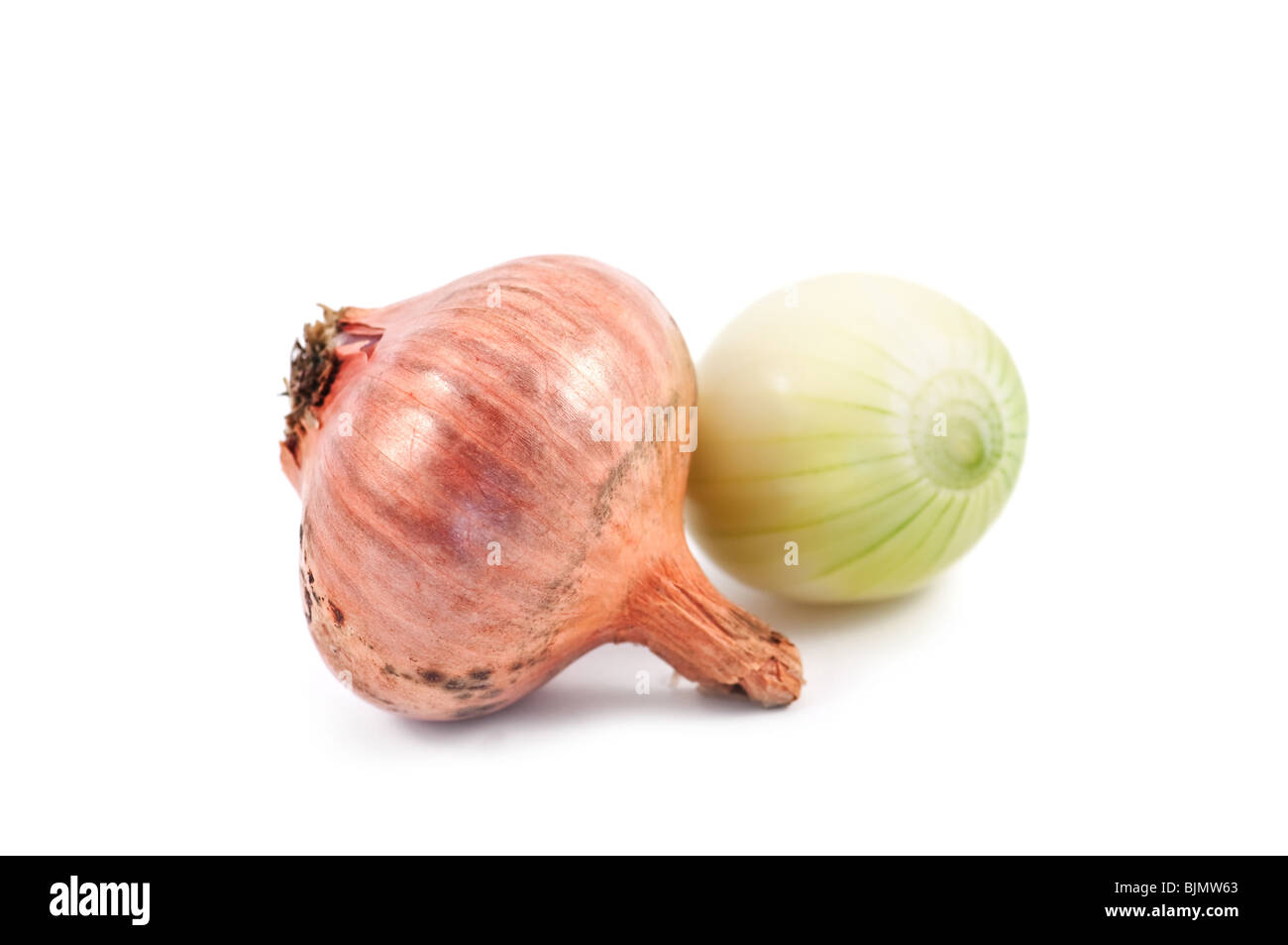 two onion isolated on white background Stock Photo