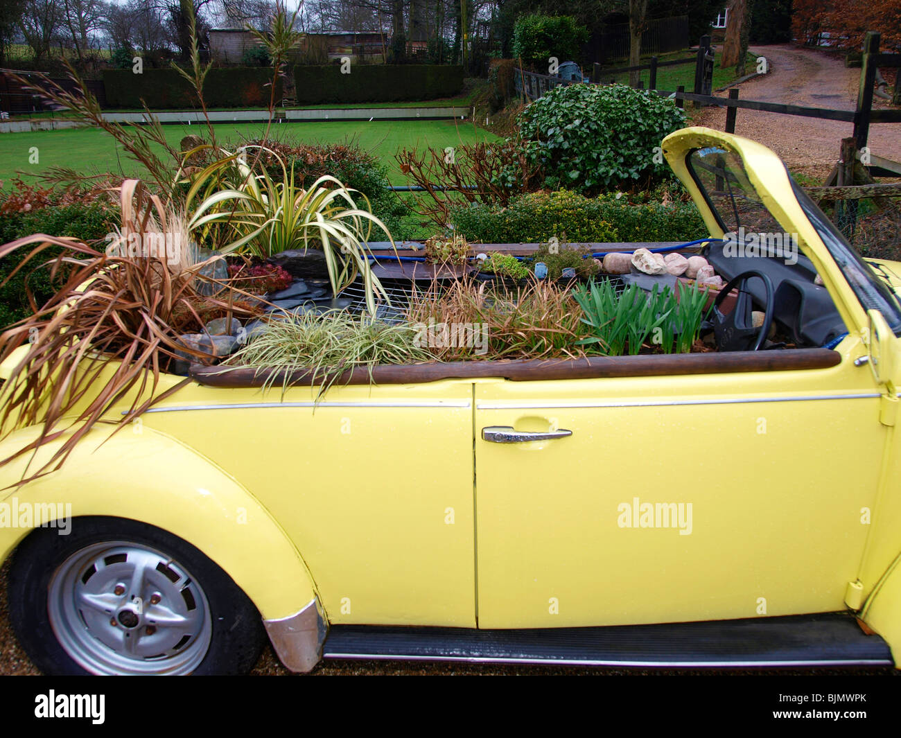 Yellow vw convertible car with plants growing inside Stock Photo
