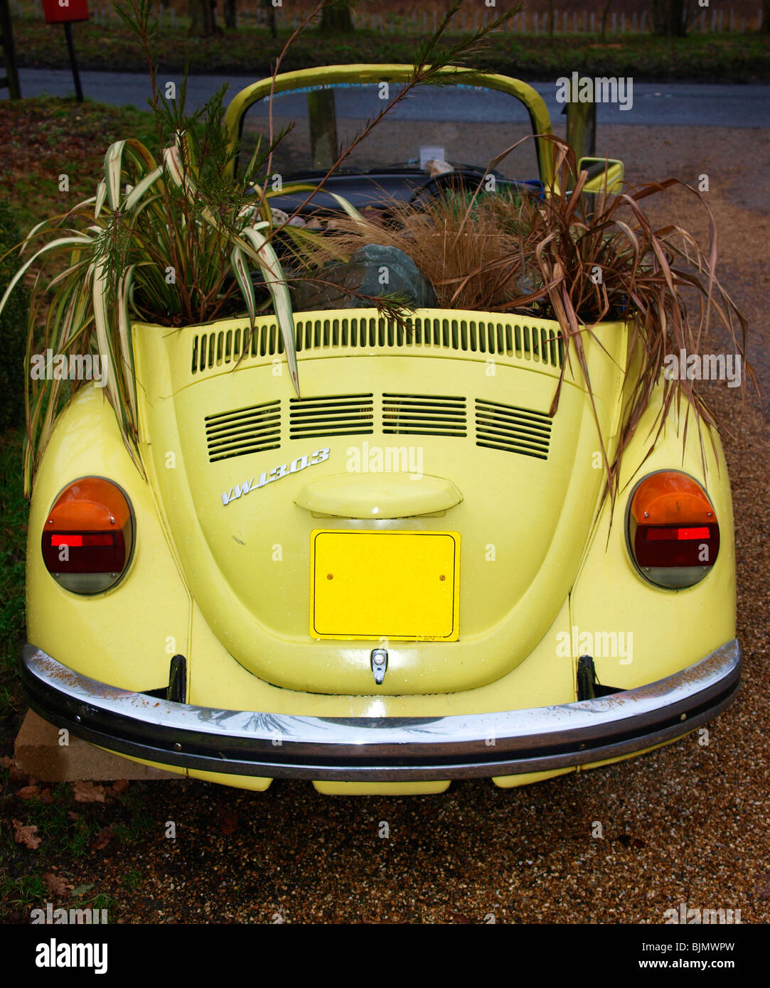 Yellow vw convertible car with plants growing inside Stock Photo
