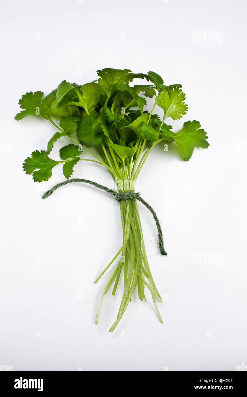 a bunch of herbs Stock Photo Alamy