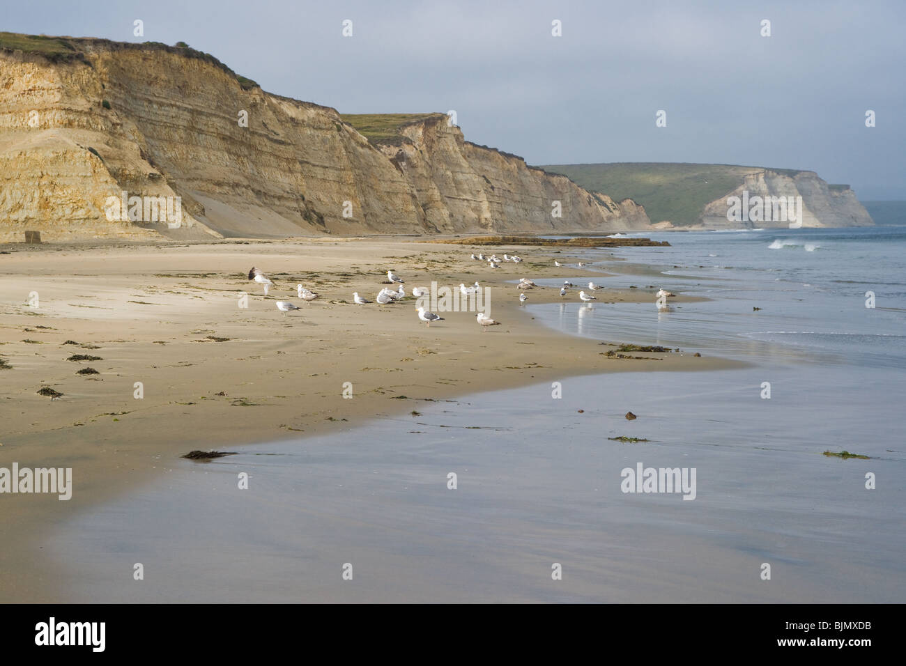 Drake Beach is located within the Point Reyes National Seashore just