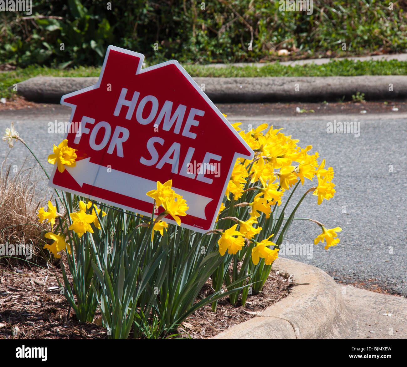 Home for sale sign, Carrboro, North Carolina, USA Stock Photo Alamy