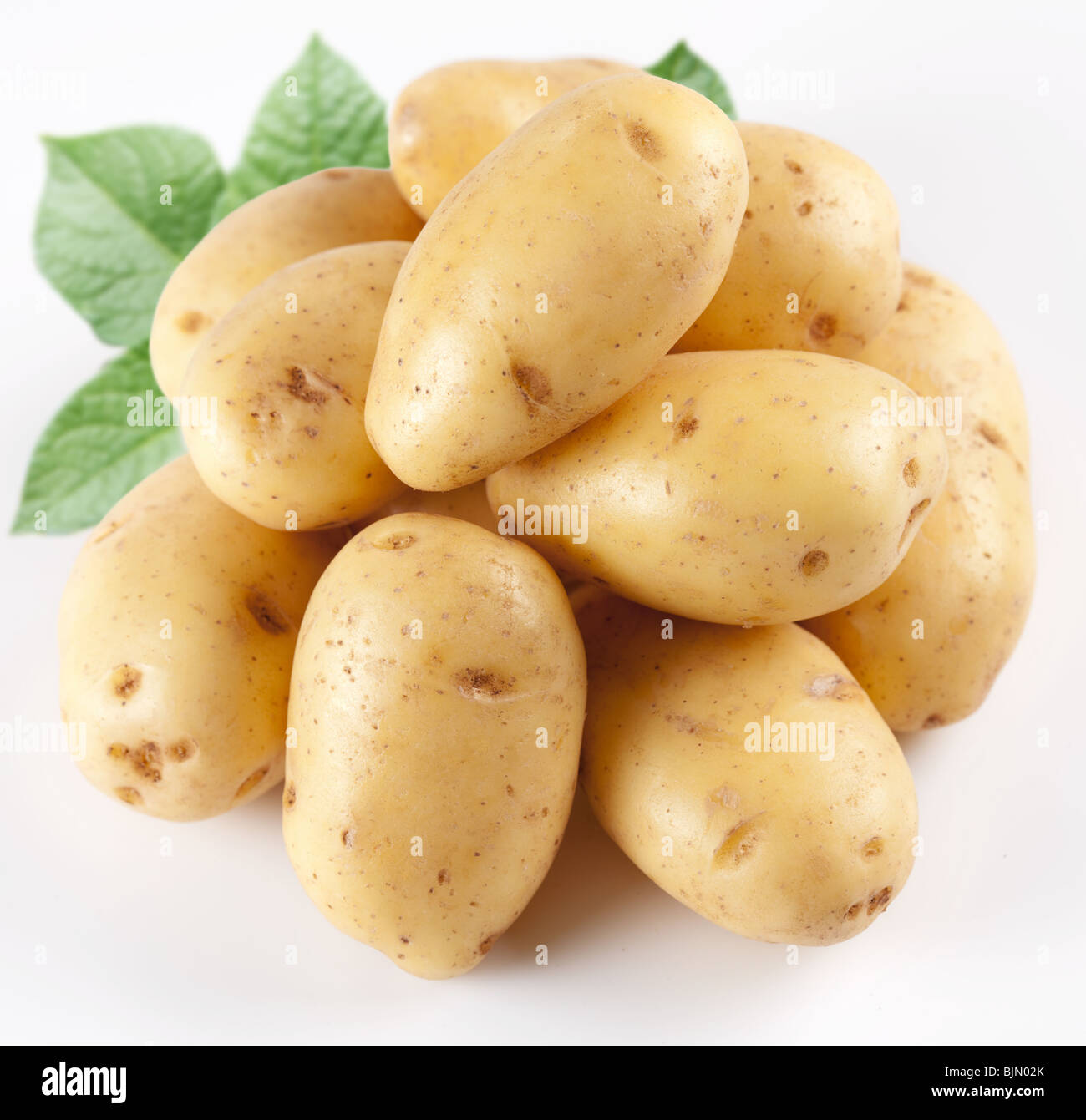 Yellow potatoes with leaves on a white background Stock Photo Alamy