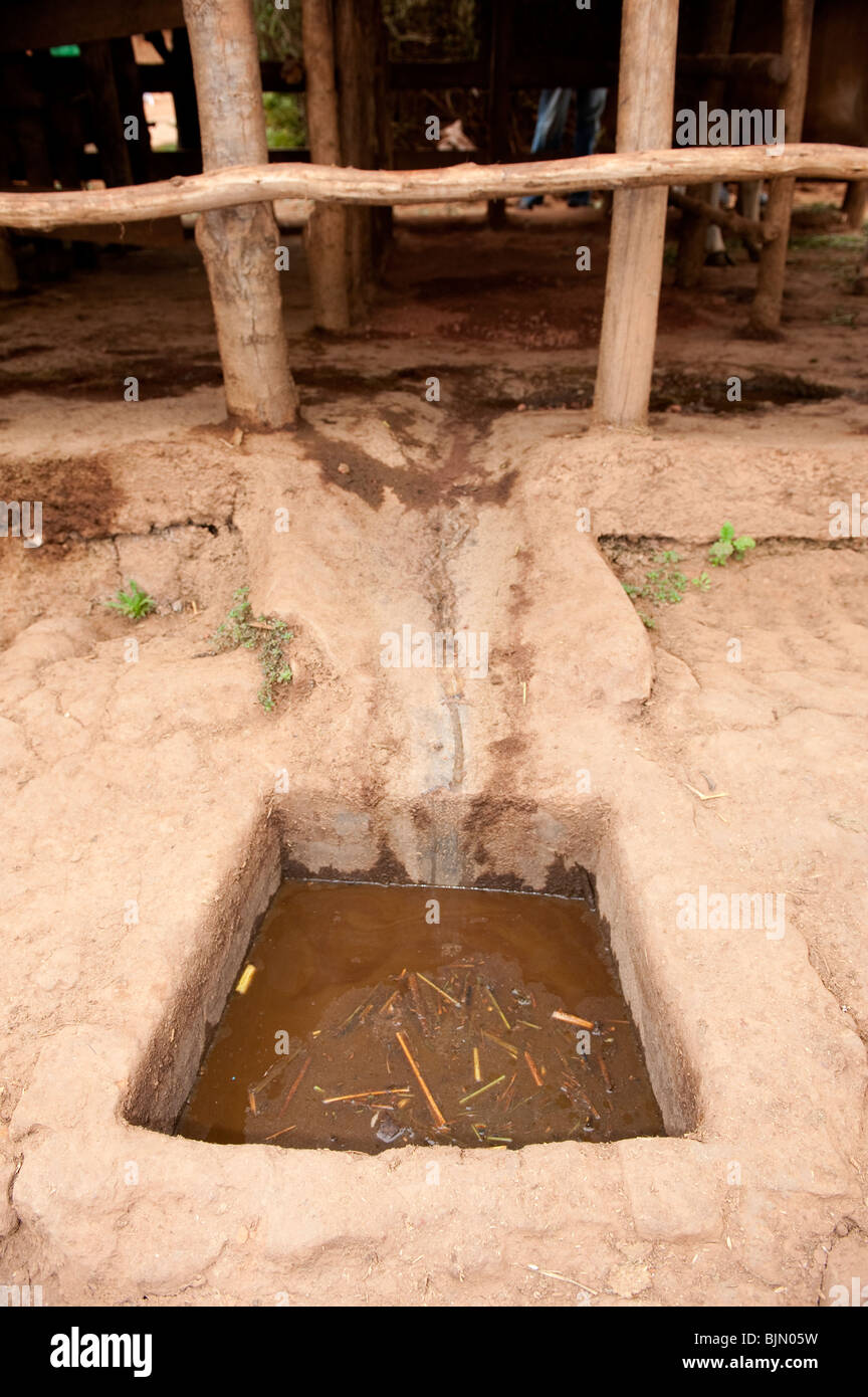 Sink Pit To Collect Animal Waste To Be Applied To Soil Later