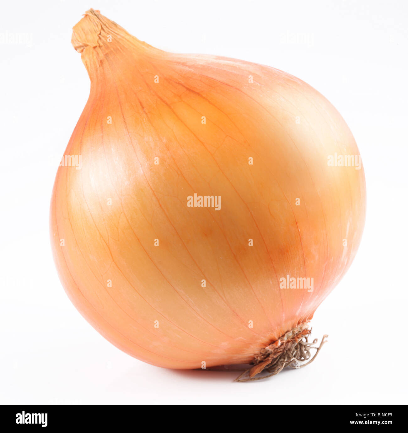 Ripe onion on a white background Stock Photo - Alamy