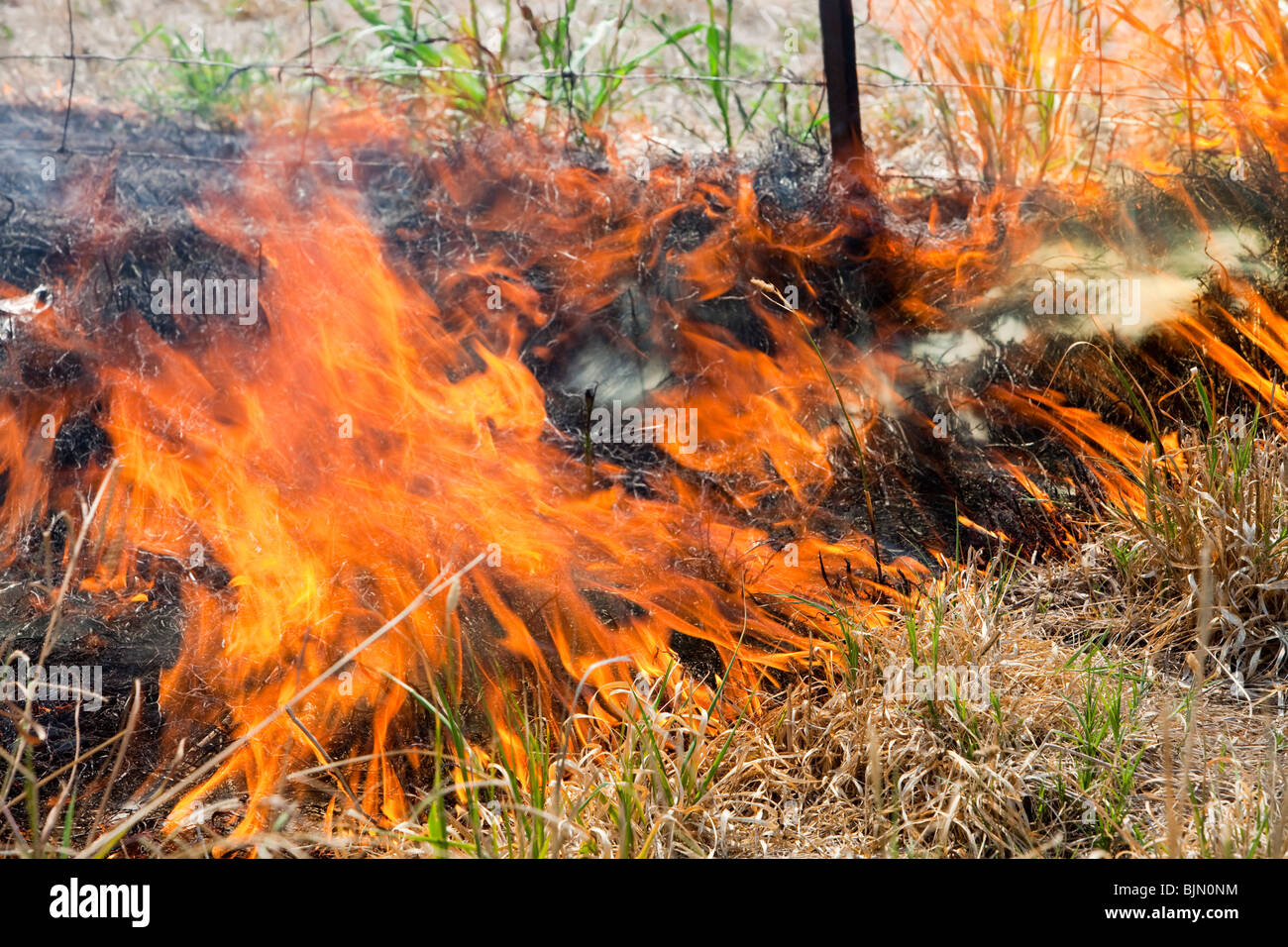 A roadside fire near Shepperton, Victoria, Australia. Bush fires are becoming more frequent due to the ongoing drought. Stock Photo